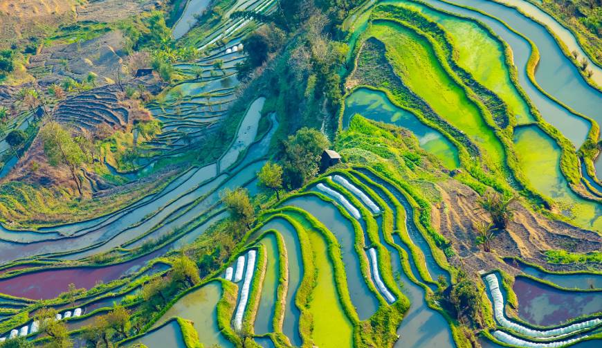 宝妈必备神器：大兴安产品视频拍摄轻松育儿好帮手